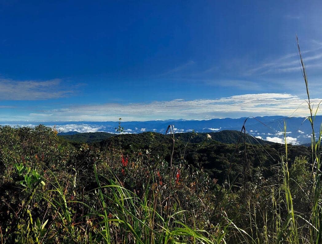 TxDn_'s tweet photo. Next week buat apa korang ni? Mereput lama dah kan. Apa kata ikut Chimoy naik Gunung rare taun 2020 ni🍁
.
Ajak je. Taknak ikut takpe. Tolong la rt post ChiMoy ni😚
Sekali je aku buat murah nak g sini. Lepas ni korang bayar la costing sampai RM180. Hahahahaha. Kbai. https://t.co/Ltr3LTVlFs