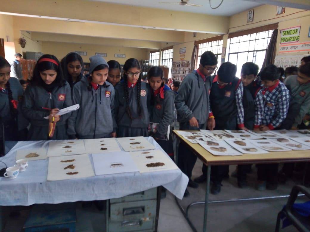 csirnbrilko's tweet photo. Jigyasa Team of @csirnbrilko visited Kendriya Vidyalaya Cantt., Faizabad today under #JigyasaProgramme. @ingle_komal &amp; Dr. Vinay Sahu delivered Lectures on  Lichens and Bryophytes. 150 Students were participated in the programme.
@KVS_HQ @CSIR_IND https://t.co/O1nOwy14q6