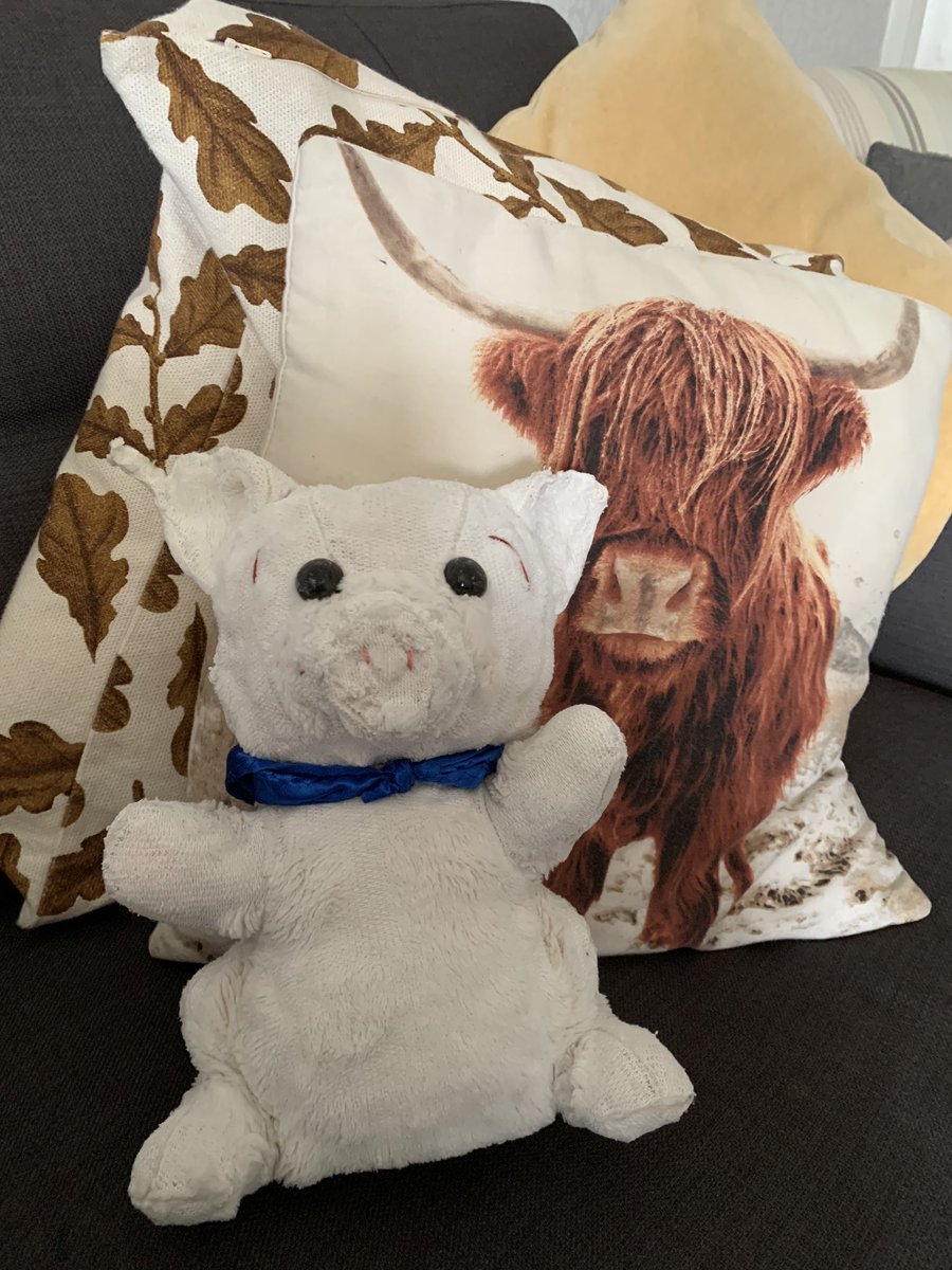 KnittingNun's tweet photo. Piggy about to be reunited with her Mummy. I’m nervous. Praying Mummy approves of the surgery. #PiggyUpdate https://t.co/KdBmmtb16Y