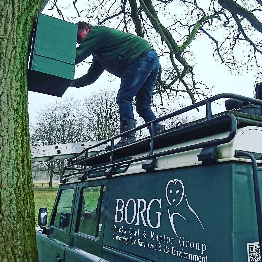 BuckmoorendFarm's tweet photo. Fantastic morning with @Borg_Owl_Raptor putting up some owl boxes on the farm 🦉 @NickMarriner1 #farmedenvironment #chilterns @ChilternsAONB @VisitChilterns https://t.co/w2ndLH0Au4