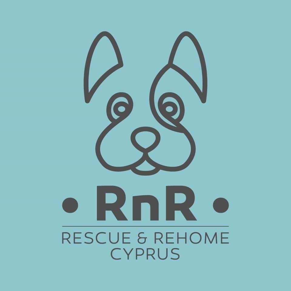 CyprusRehome's tweet photo. If you have #adopted a #dog... you are #awesome!! 💜🥰🐶 #NationalComplementDay #welovedogs #AdoptDontShop #followus @CyprusRehome @Battersea_ @adogsliferescue @PDRescue @DannyRonsRescue @DogsTrust @spanishstray @bedsforbullies @rickygervais @WeatherDog3 @JaneFallon @PeterEgan6 https://t.co/ggBfxbAVw8