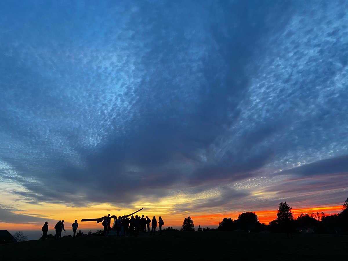 Students gather at the porter squiggle sculpture to watch the sunset.