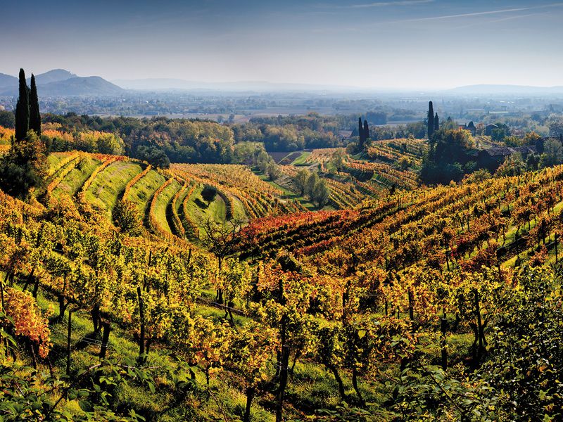 GreenGablesPa's tweet photo. Italians Do It Better Wine Tasting Tonight https://t.co/D08dkTf9rR https://t.co/fjPHFqVnXc