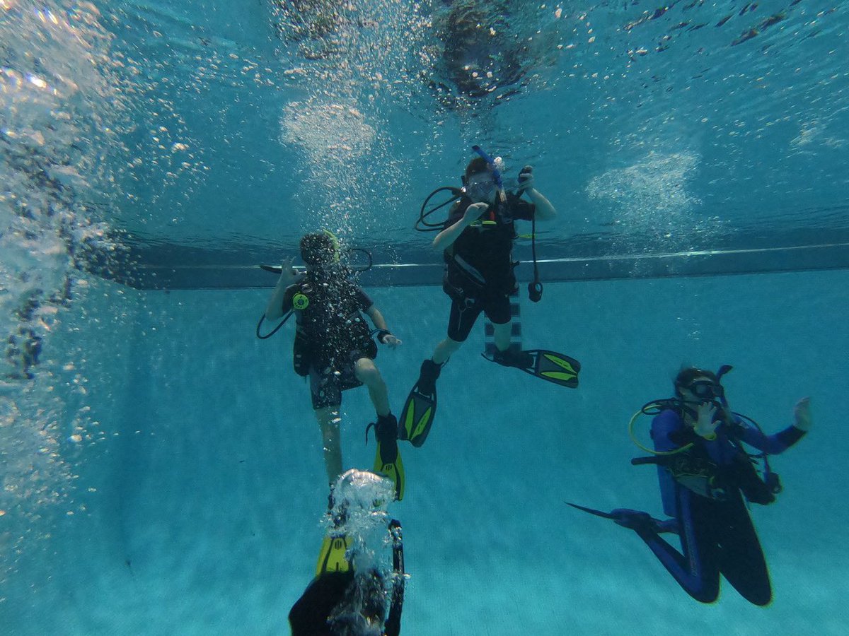 ArchmereAcademy's tweet image. Looks like the “Scuba Diving” Winterim class had an awesome time! #auks #winterim #learntoscuba