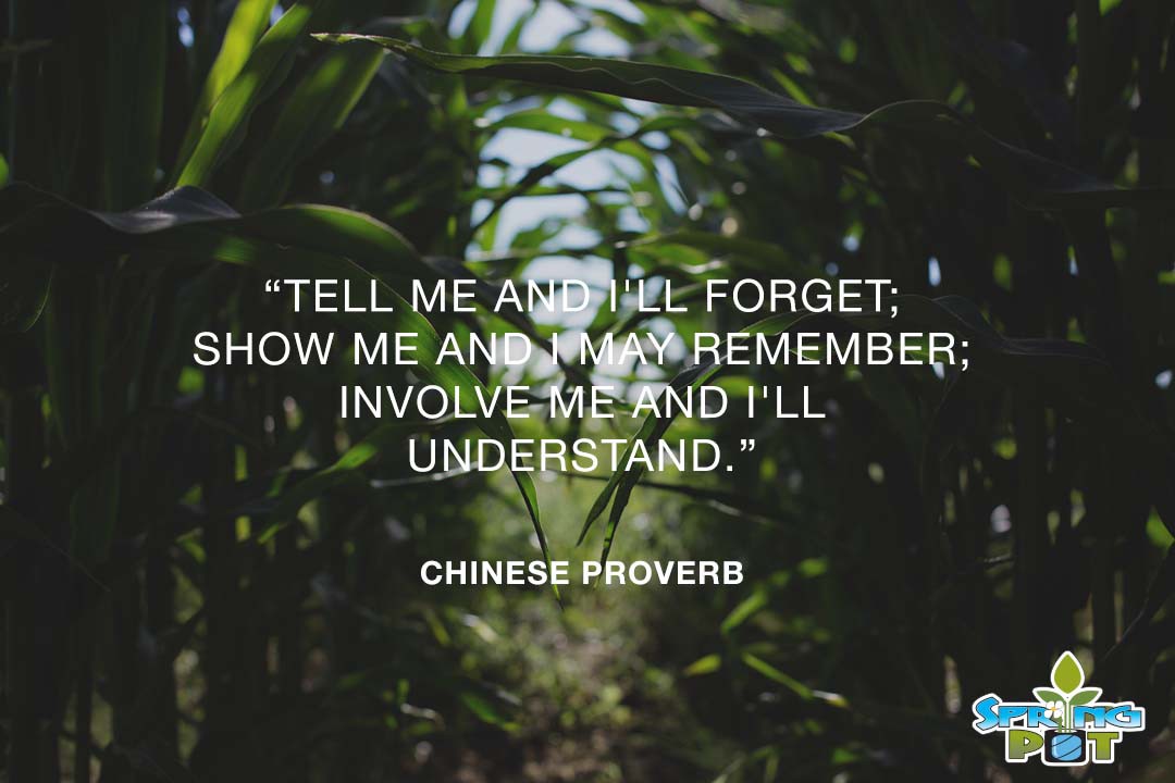 REALspringPOT's tweet photo. Education is the key to growing healthier communities. On the #InternationalDayofEducation we're renewing our commitment to keeping you informed about how to grow bigger and healthier. If you need help regarding your grow and pots, just send us a DM to connect. https://t.co/BAyygbpOon