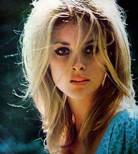 Happy Birthday Sharon Tate. 