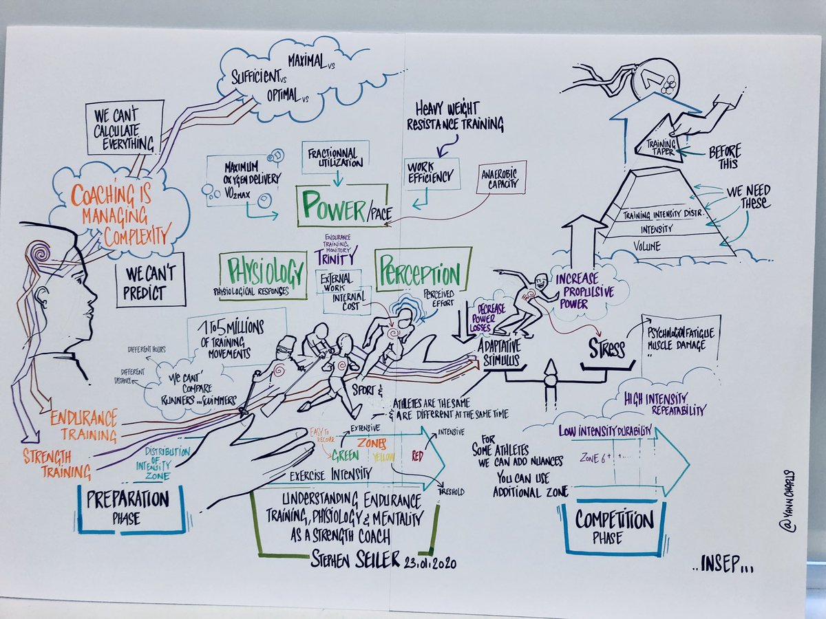 Career first: a French graphic facilitator summarized my lecture at INSEP in Paris on the fly.....