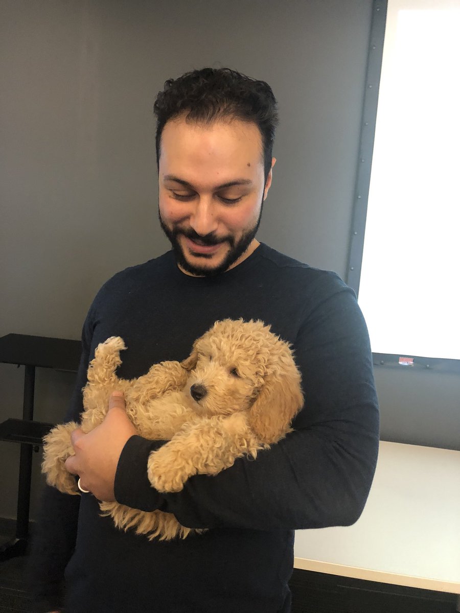 DigitalEd's tweet photo. Great weekly AUA hosted by our global #RevOps team reflecting on @JointMath, a trip to #Ottawa, & plans for #Finland in 2020.
Yet somehow we were distracted with this week’s stand-in for #ChiefMoraleOfficer, Nala.
Thank you for introducing us @MAkcagliyan
#Petiquette #EdTech https://t.co/4x4f4zqtBx