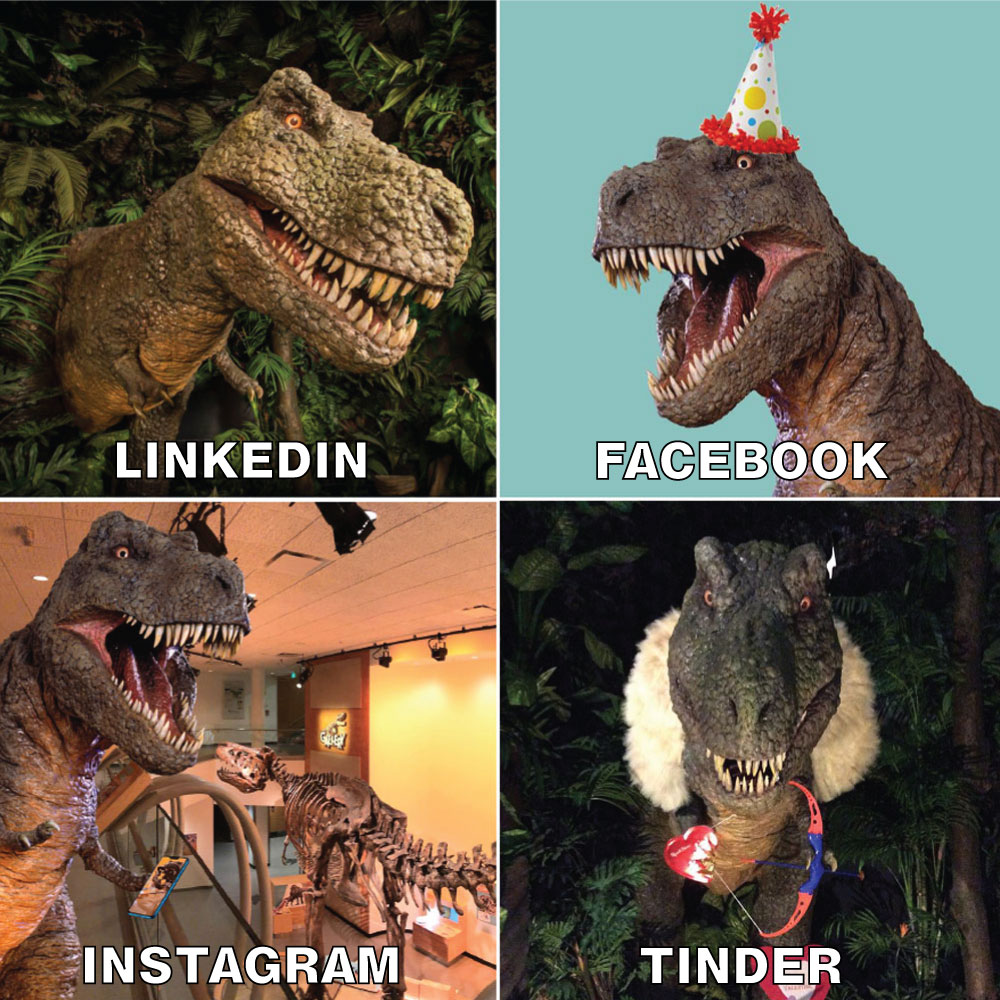royalsaskmuseum's tweet photo. There is only one T. rex that can do it all. #Megamunch #FossilFriday https://t.co/TmB2wtwDaB