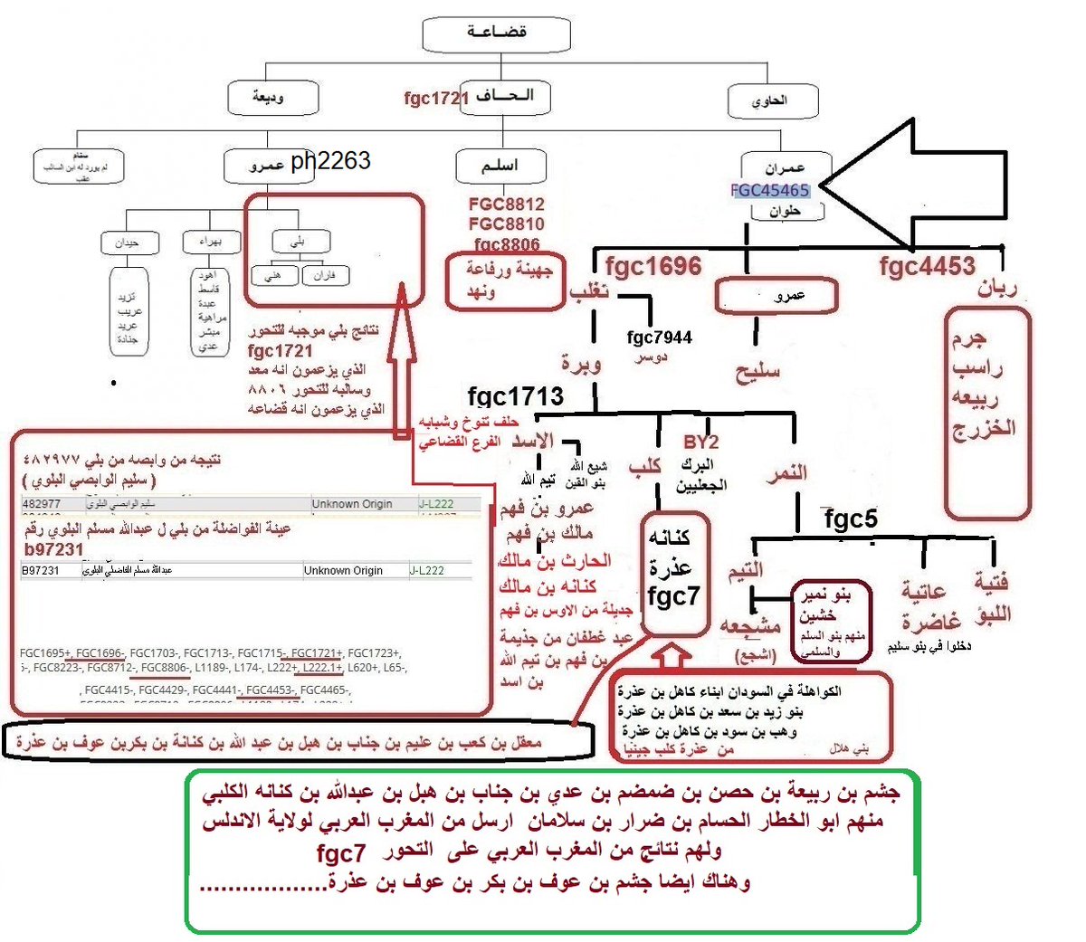 Abu Mohamed Alsardy tweet media