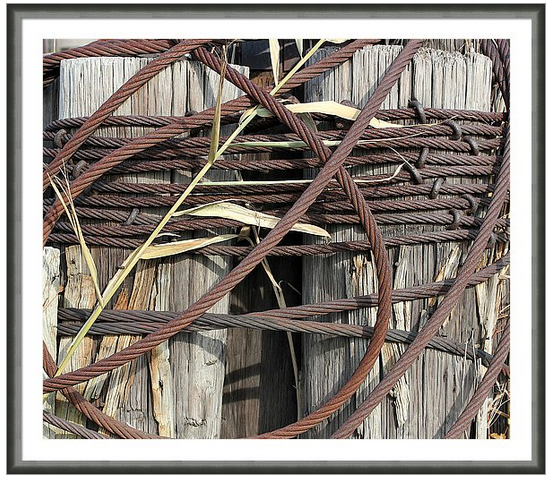 marybedy's tweet photo. Loop De Loop
https://t.co/oV7kd2tlWT
#oldpilings #dock #cable #steelcable #marybedy https://t.co/InZezqra8Z