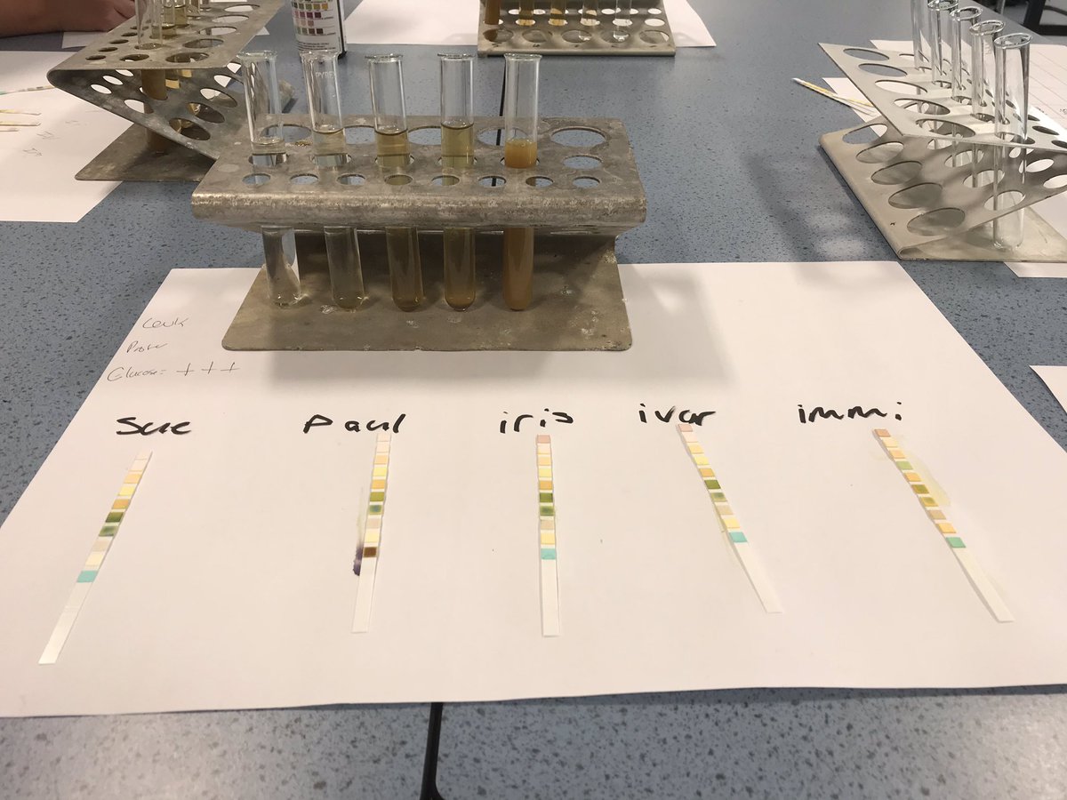 HCFEscience's tweet photo. https://t.co/QhByK0bn9R