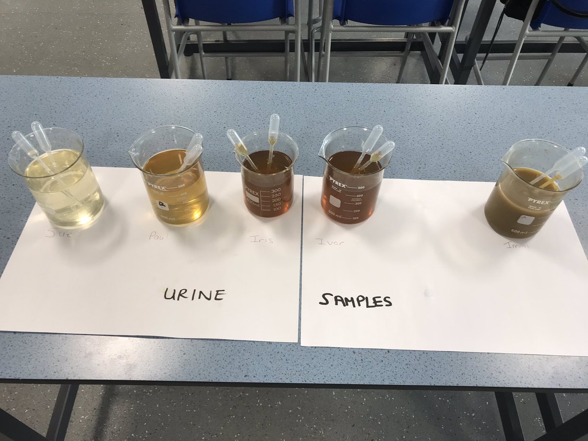 HCFEscience's tweet photo. https://t.co/zhMjLxPqrC