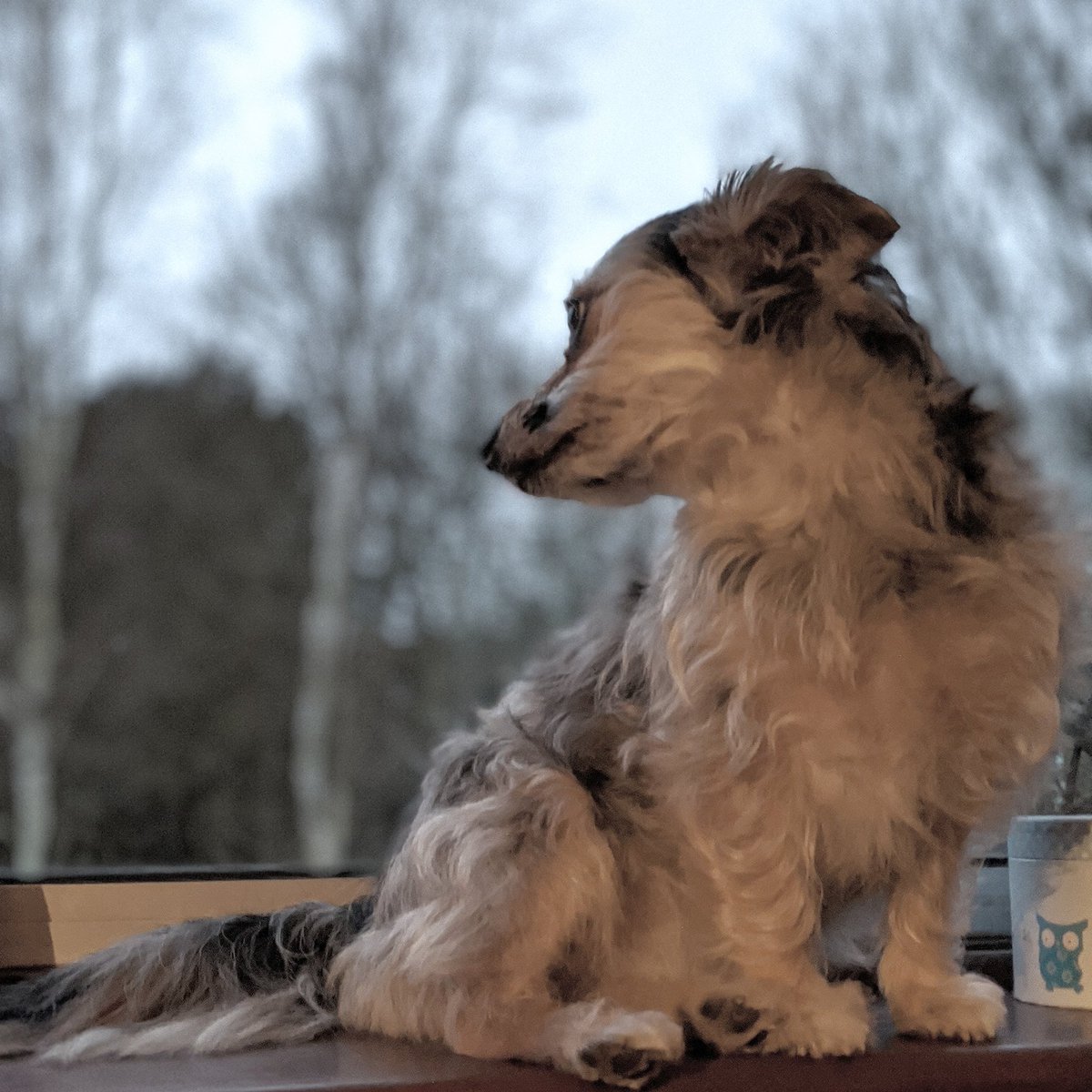 FreyjaMarsh's tweet photo. Watching the world go by.. https://t.co/PFjPdr60B8
