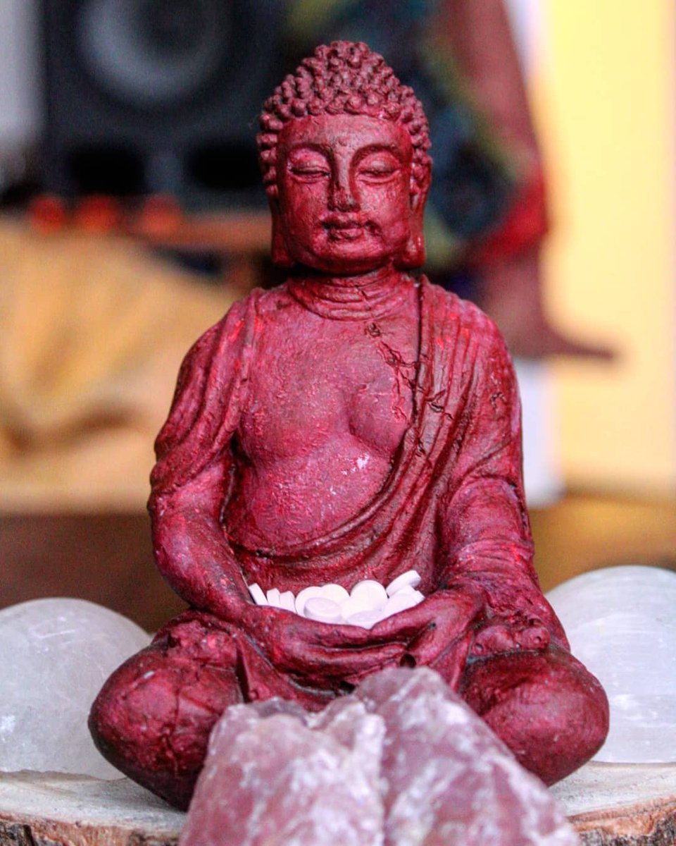 micro1p's tweet photo. Apparently even Mr.Buddha likes our Micro1PD #micro-dosing tablets 😅 Get yours today at https://t.co/dFfmndjO6x🕉️ https://t.co/O7Zgnigzic