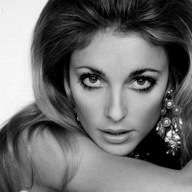 Sharon Tate would have been 77 years old today. Happy Birthday to this ever so lovely and stunning beauty. 