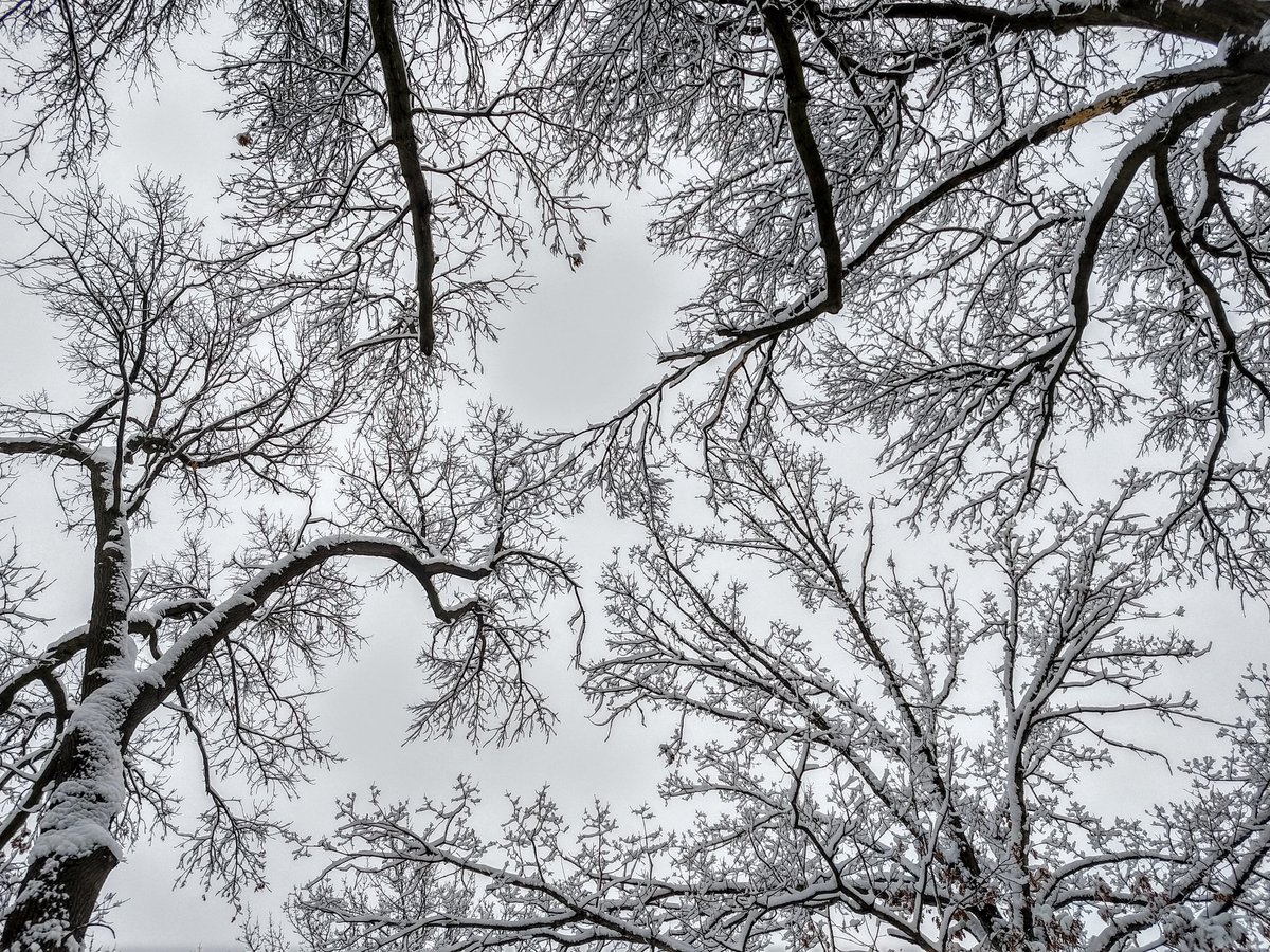 Truman Photos (@trumanphotos) on Twitter photo 