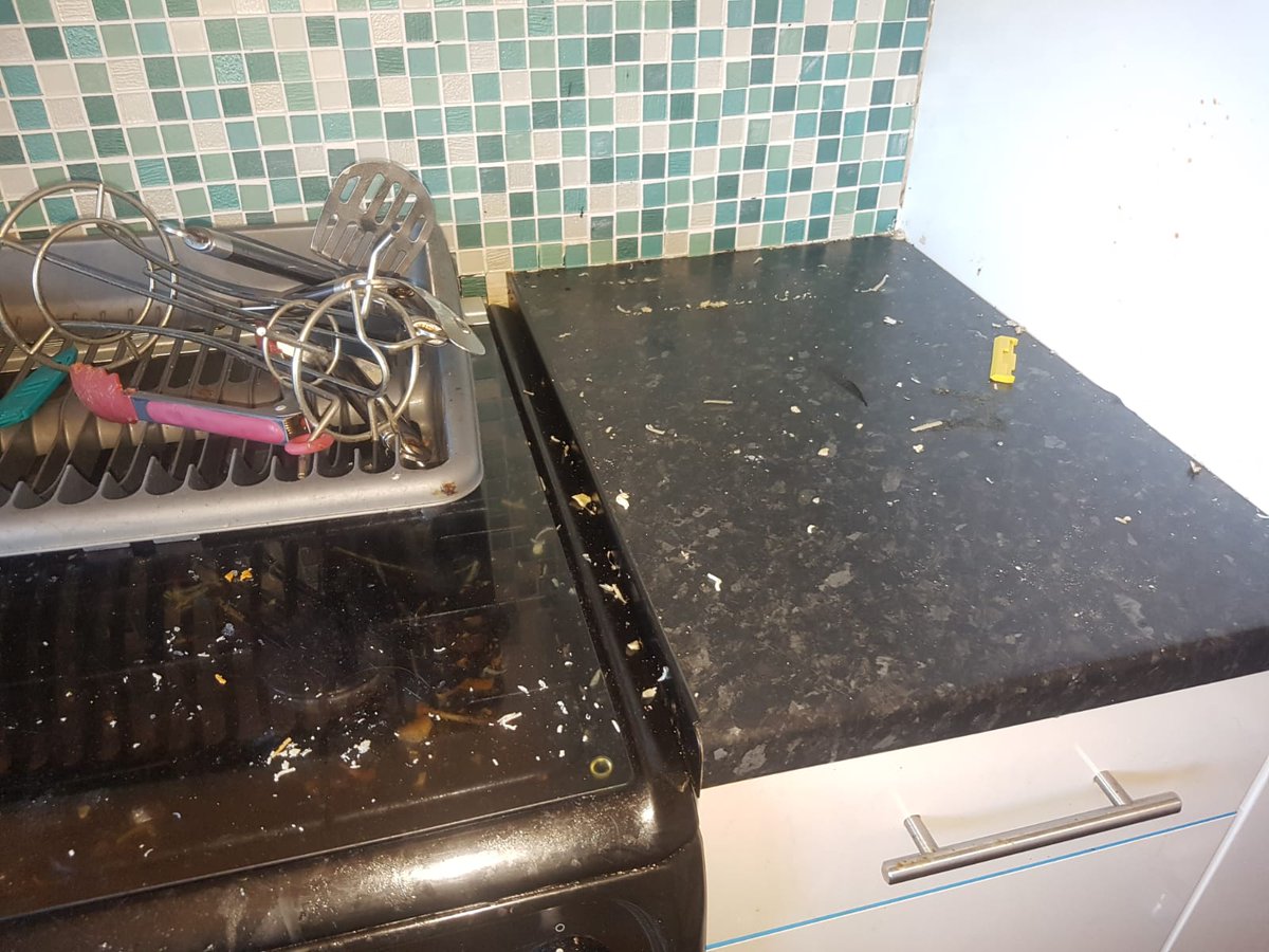 PlymClean tweet media