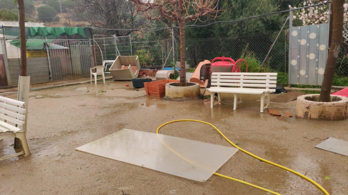 GuardiaMarta's tweet photo. Des d @AbamiApropat demanen col•laboració x ls afectacions dl Gloria en el refugi.
Necessiten mantes pls 🐶🐱, mobiliari impermeable q es pugui tancar i sobretot voluntaris x ajudar a reconstruir tot el malmès.
Us esperem el 2️⃣ de febrer a la protectora.
Els 🐶🐱 us ho agrairan. https://t.co/YL2POzlSnB