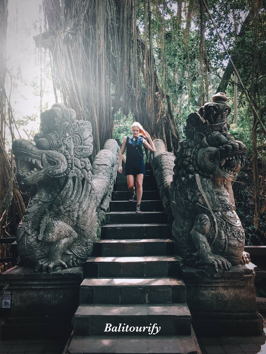 balitourify's tweet photo. Beautiful view of Ubud Monkey Forest in Bali, Indonesia.

The day trip to this site.
👉🏼 https://t.co/HtXpvN8Eqo 

#bali #ubud #travel #tripadvisor #travelphotography https://t.co/8p5DlhRVGt