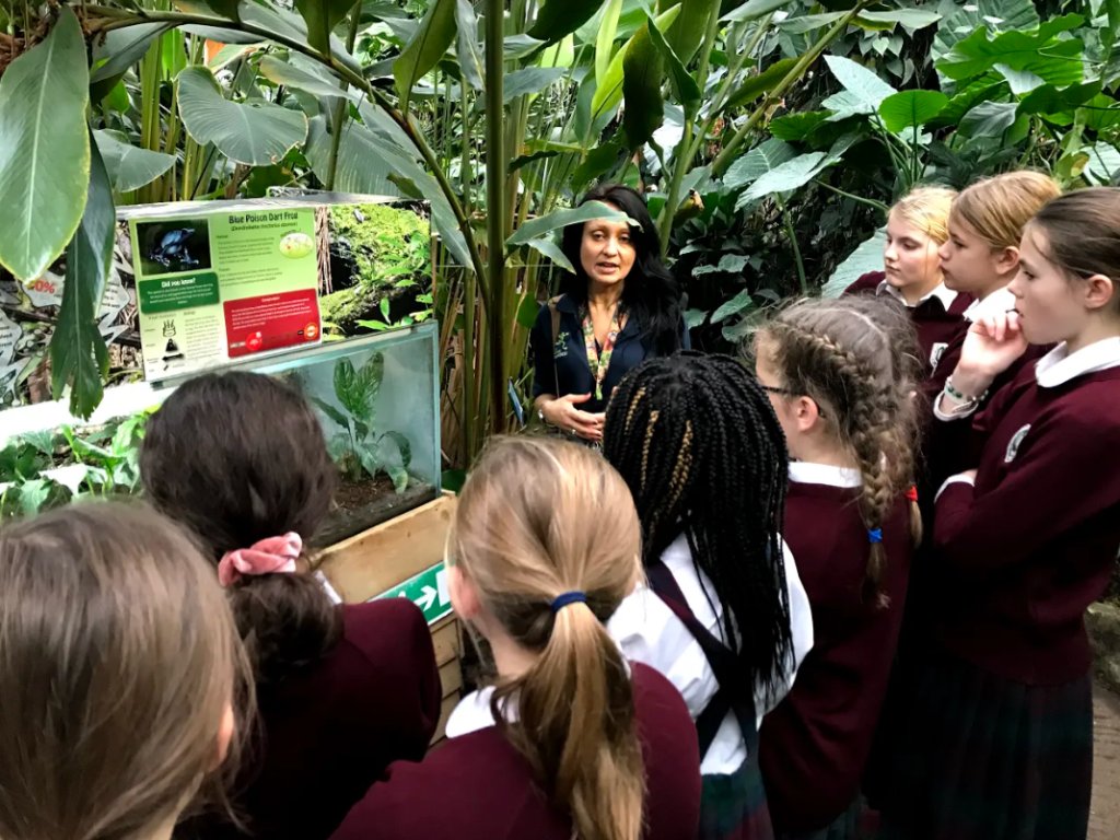 clairescourt's tweet photo. 🌿 🦥 Our Year 6 girls recently took a walk on the wild side as they visited the residents of the @livrainforest
This was a fantastic learning opportunity to supplement the girls' topic of #AmazonAdventures.
Read all about their visit here: https://t.co/wScVcni89n https://t.co/EpBFmlVfk7
