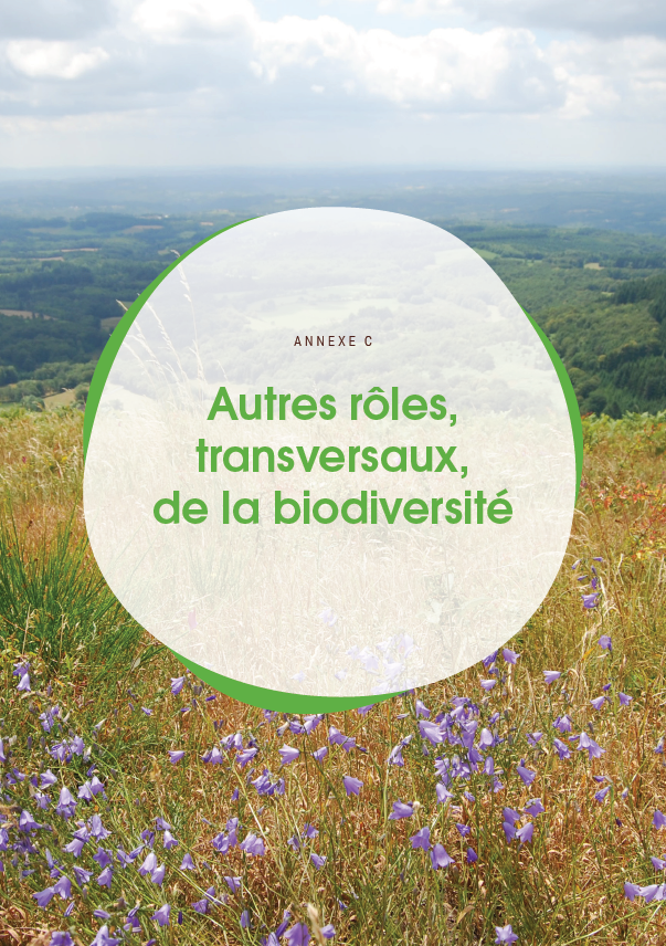 Ecobiose's tweet photo. 📣[Nouveau document disponible]

En complément des chapitres du rapport d'Ecobiose...

Découvrez d'autres rôles joués par la #biodiversité (lutte contre le chgt climatique, santé humaine, matériaux &amp; innovations) dans l'ANNEXE C

👉https://t.co/r3m0IAPV66 https://t.co/3pqYKQfAz3