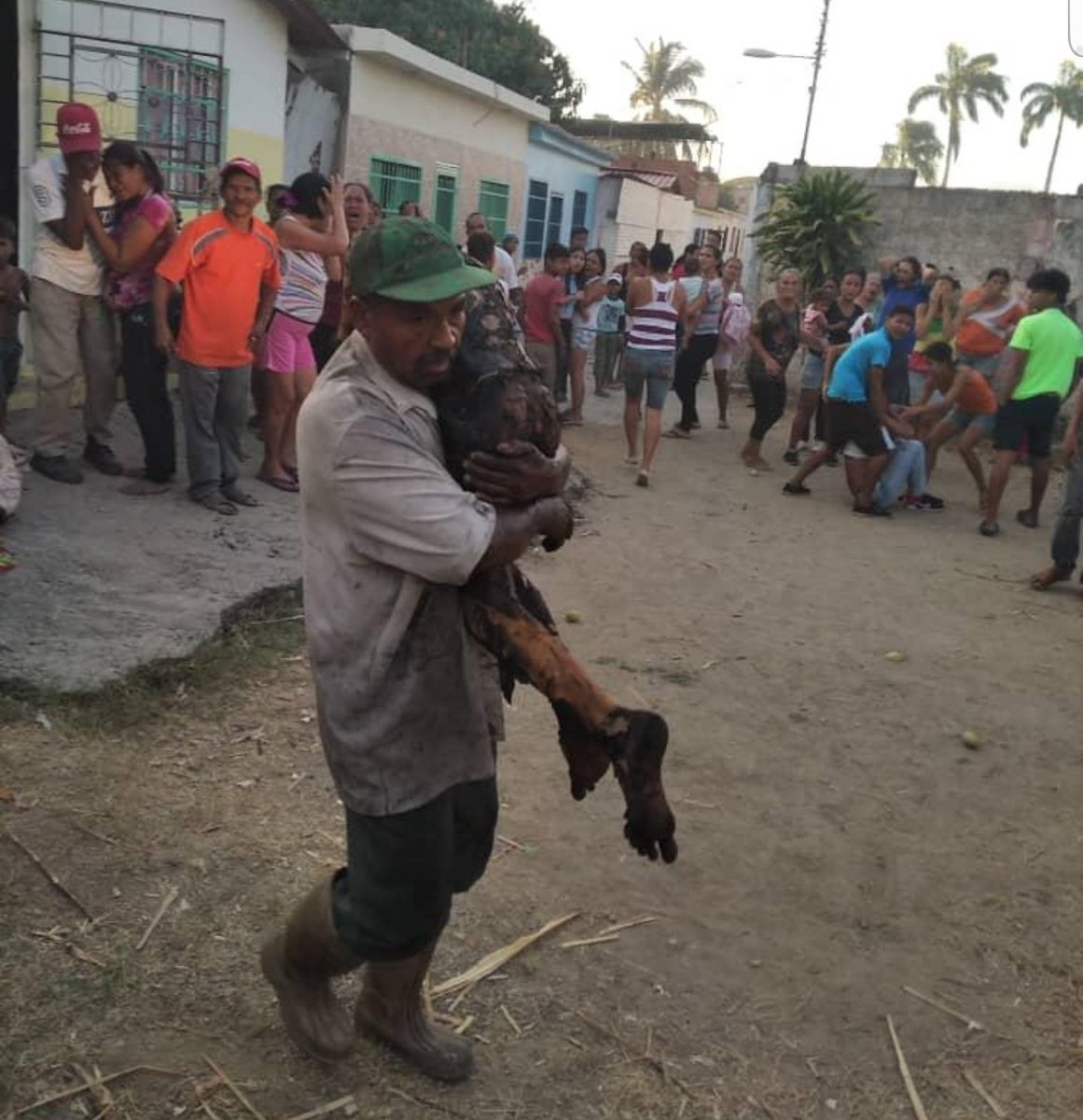 rcamachovzla's tweet photo. #Aragua #Cagua Cifra oficial de personas fallecidas es de 10 (8  niños y 2 adultos).

El incendio ocurrió en el sector la Carpiera, barrio la democracia. Un grupo de personas estaban cortando caña y quemaron una parte de la maleza para atraer a los conejos hacia su ubicación pero https://t.co/3OQsJ65iLY