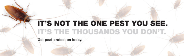 FlexibleService's tweet image. #FridayFoodForThought #FlexiblePest #PestProtection