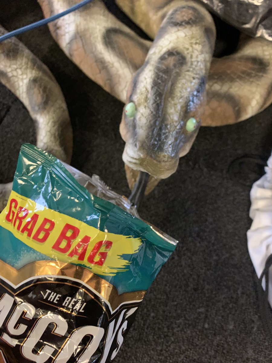 Jessebumblebee's tweet photo. @keith_snake @hollyrhick sorry bud, here’s a snack https://t.co/H1HykdaUc3
