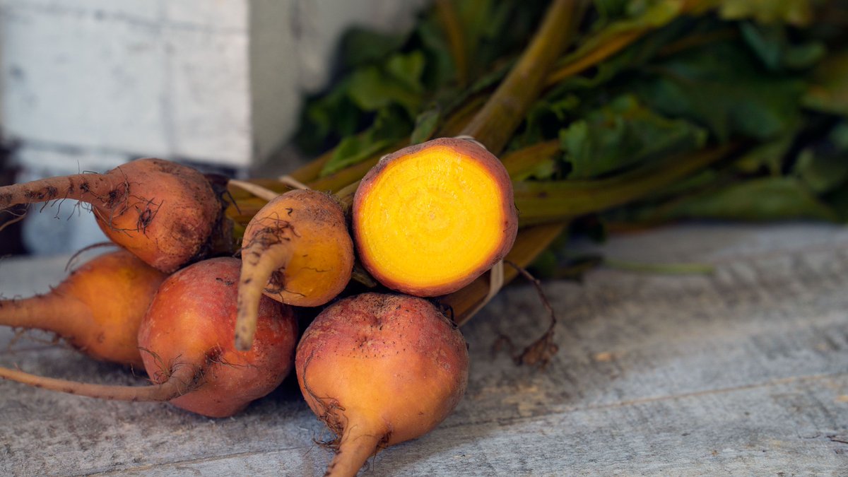 SpecialtyProduce App tweet media