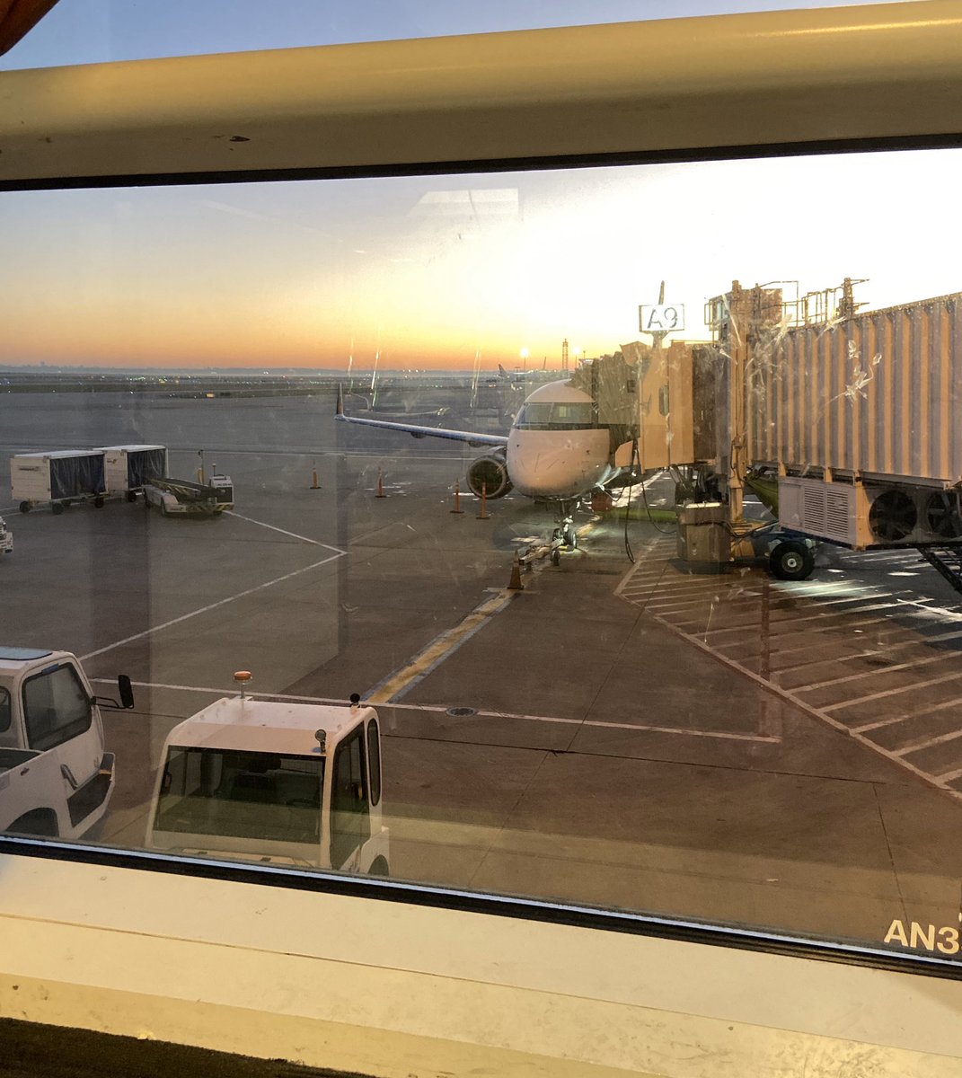 Breadchick's tweet photo. Been nice Houston but I’m ready to go home to the Divas, Bedhogs, and my own bed. (Dear Courtyard, your new “improved” mattresses are as comfy as concrete blocks). Bird, take me home! #weekendondeck https://t.co/Q6beRHE773
