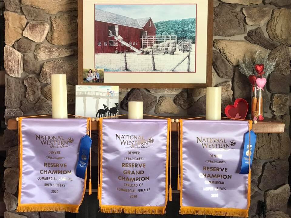 colocornfarmer's tweet photo. We were very proud to take home Overall Reserve Grand Champion at the Commercial Female Show @nwsslivestock @dcherefords n @colofarmwife worked hard with these girls!! #breedhereford #makingbaldies @americanherf https://t.co/Vy9fUu4SbO