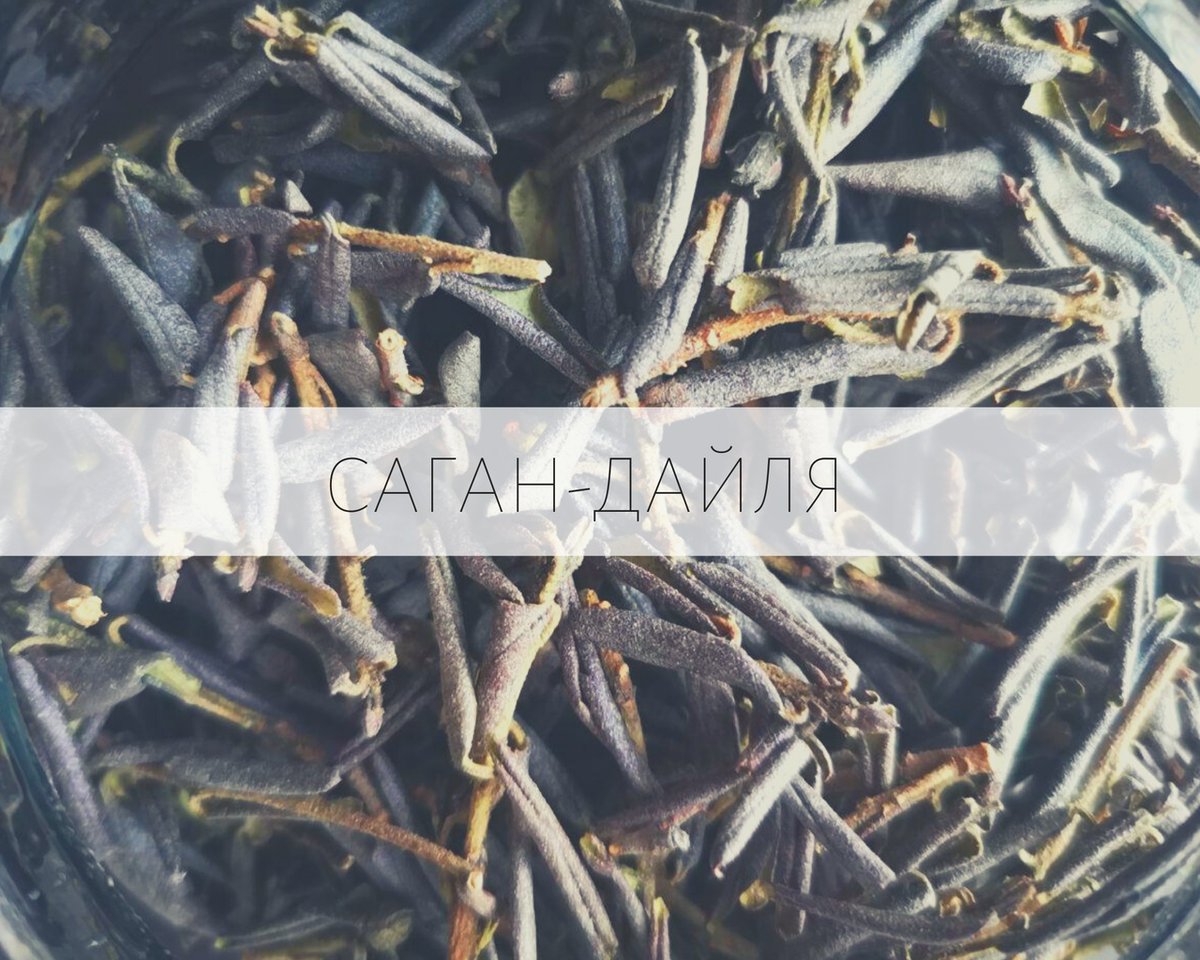 pekoe_by's tweet photo. Саган-Дайля снова на чайной базе! Вкусный и полезный, хорошо играет как соло, так и в компании с другими чаями. Короче, норм тема) 

https://t.co/P4oqPj7bS3 https://t.co/ZejtIZv3ni