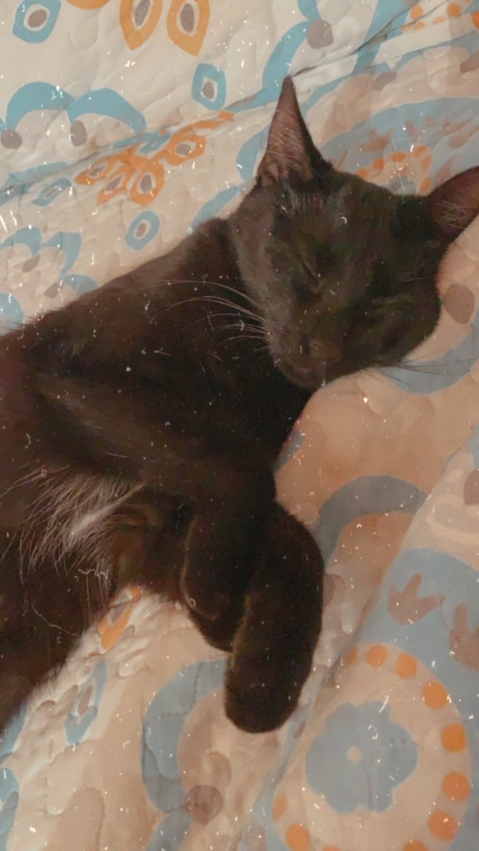 😴😴😴 buenos días a todos❤️😍