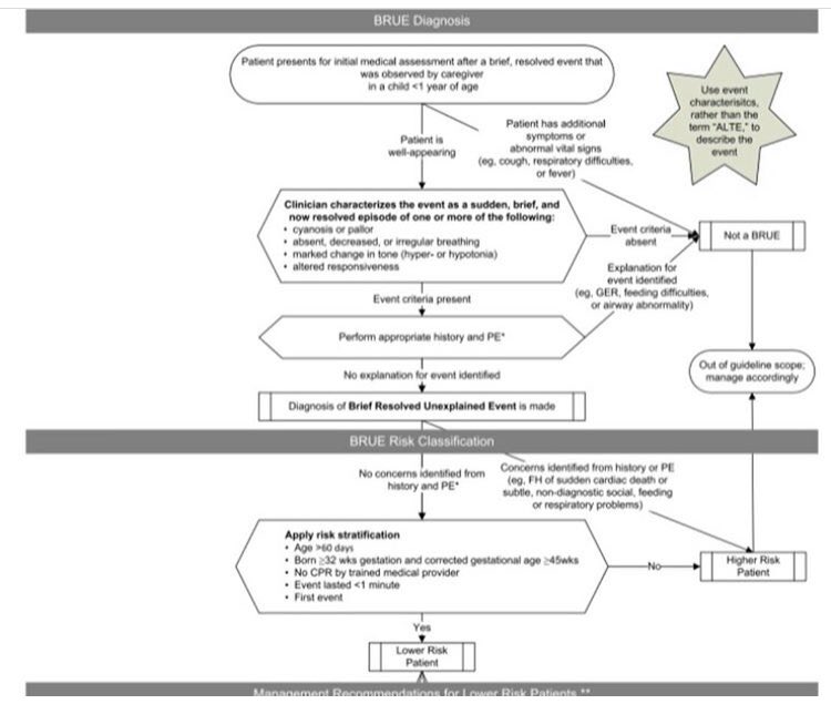 drakc_pediatra's tweet image. “Mi hijo se puso morado”

En este caso consultar de inmediato 
#tipsParaMamas #TIpsParaMedicos