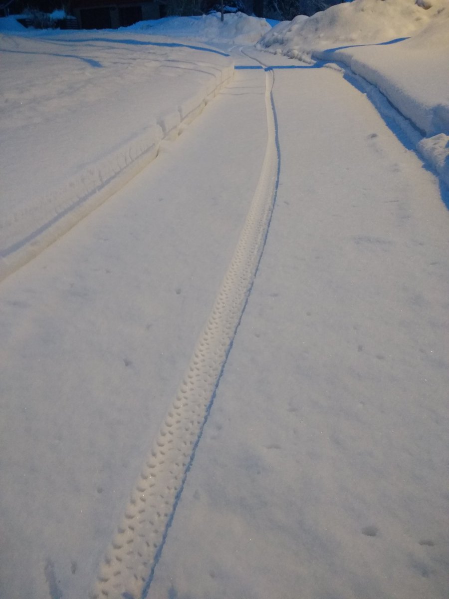 I'm a little bit jealous. Wish they were my fresh tracks.