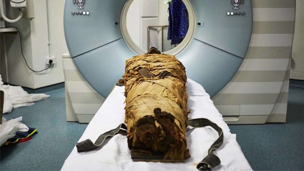 Dig Monkeys (@digmonkeys) on Twitter photo #AncientEgyptian mummy's voice replicated by British scientists - Lots of #ethical questions raised around this. Give us your thoughts and opinions on this topic.
Academic Article: go.nature.com/30RH0bS
<a href="/XJWiseman/">Jessica Wiseman</a> <a href="/Pastpreservers/">Nigel J.Hetherington 🏳️🌈🇪🇺</a> <a href="/HeritageAndrewT/">Andrew Thompson</a> #Archaeology #History #AncientEgyptian mummy's voice replicated by British scientists - Lots of #ethical questions raised around this. Give us your thoughts and opinions on this topic.
Academic Article: go.nature.com/30RH0bS
<a href="/XJWiseman/">Jessica Wiseman</a> <a href="/Pastpreservers/">Nigel J.Hetherington 🏳️🌈🇪🇺</a> <a href="/HeritageAndrewT/">Andrew Thompson</a> #Archaeology #History