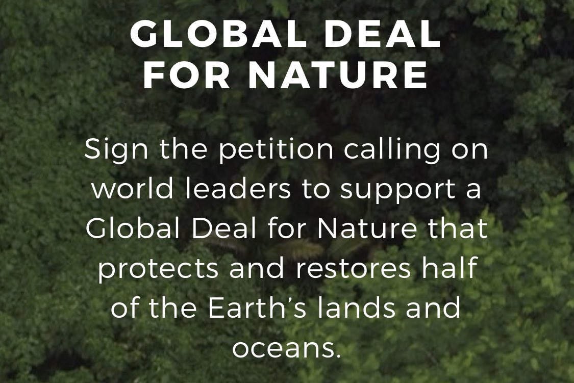 Grupo Mega just signed the #GlobalDealForNature calling on world leaders to protect half of our lands and seas. Please join us! Sign the petition at globaldealfornature.org