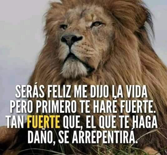 FrancoRonal23's tweet photo. #frase24012020 https://t.co/Us96fiV26n