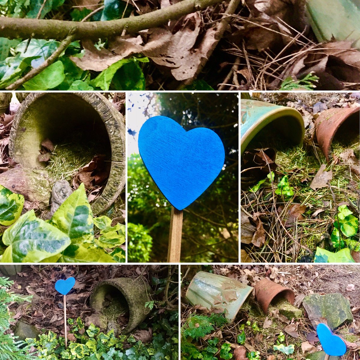 Looking forward to watching my Blue 💙 Campaign wildlife friendly garden develop &amp; become inhabited with creatures #rewilding #nature