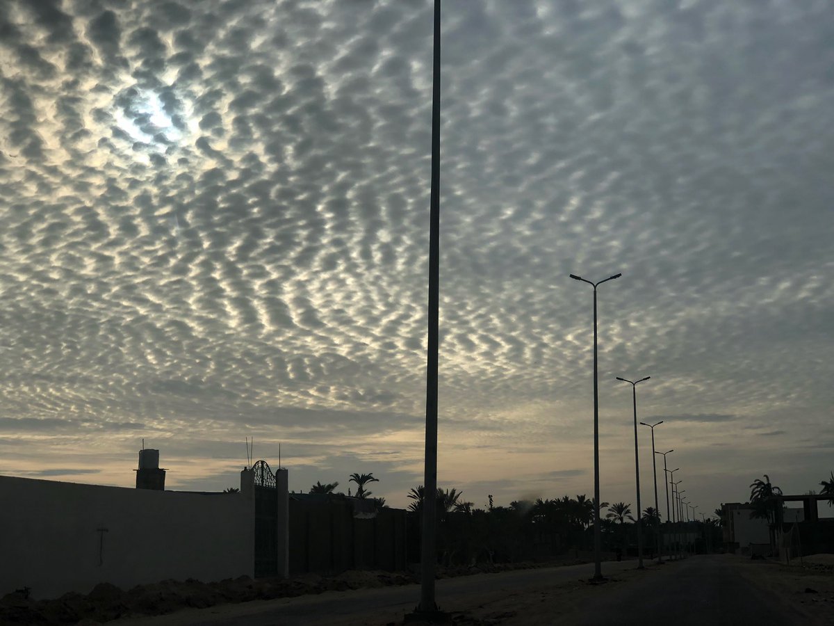 Abdulrahman Keshta tweet media