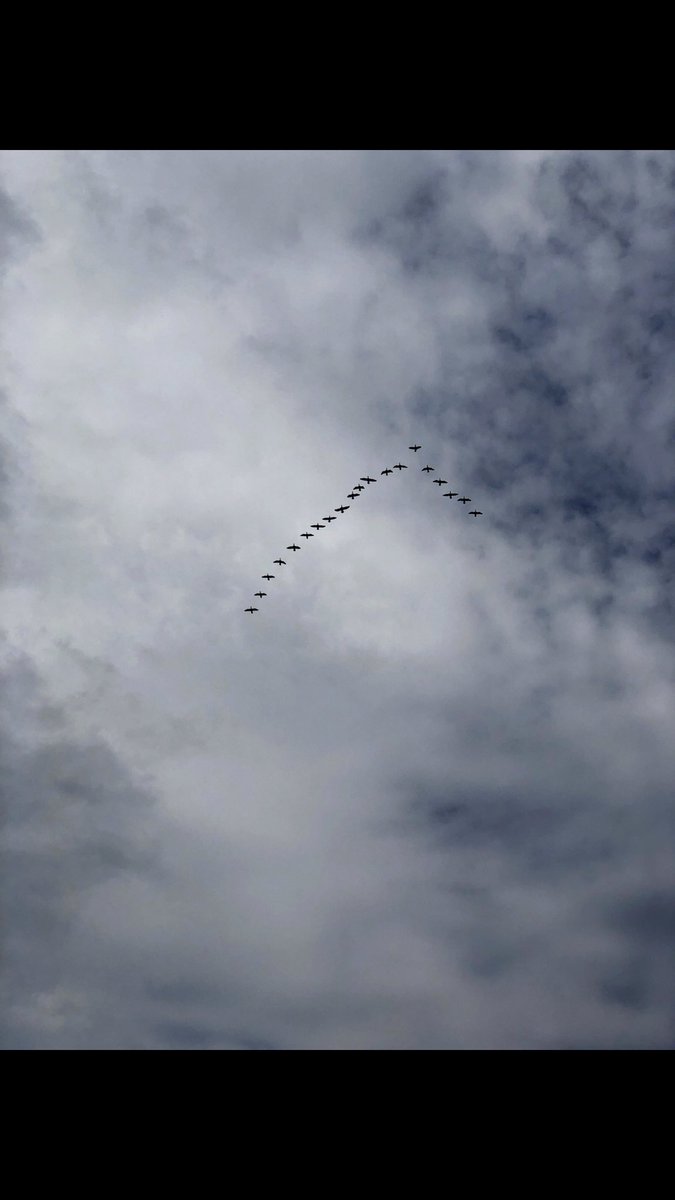 Abdulrahman Keshta tweet media