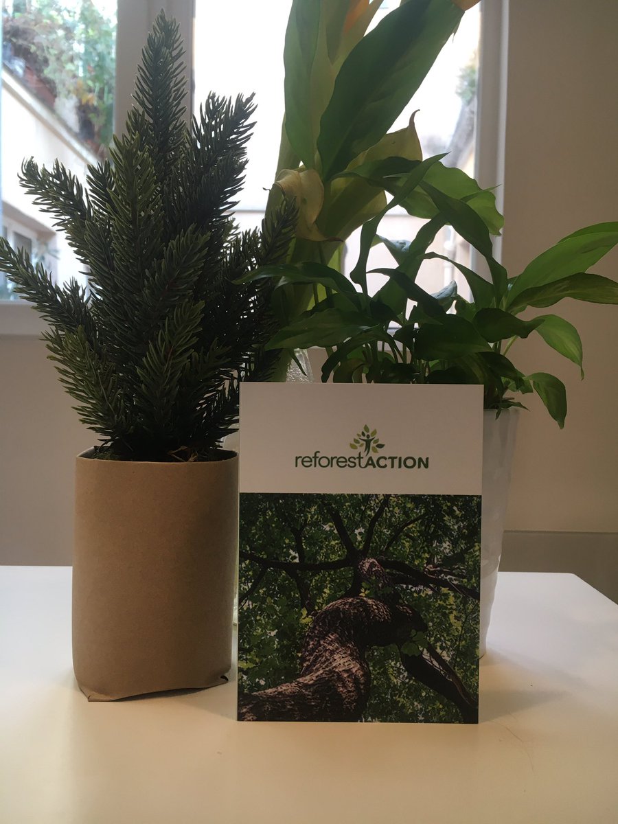 GuestViews's tweet photo. 🤝 Cette année, @GuestViews se met au vert ! Et pour nous lancer dans cette grande aventure, nous avons décidé d’offrir une petite surprise à nos clients... 🌳 #letsbegreen cc @reforestaction https://t.co/l7GRhP0B5z
