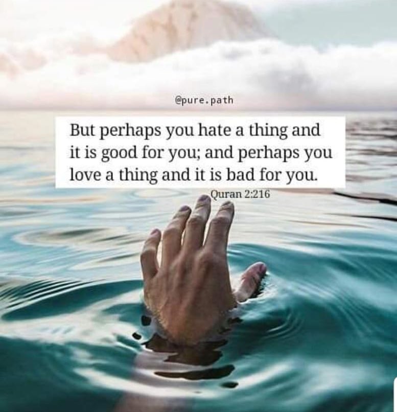 Shariffa Carlo Al Andalusia Islamquranallah On Twitter Allah Knows What S Best For Us Https T Co Tfoq2p2xgf Twitter