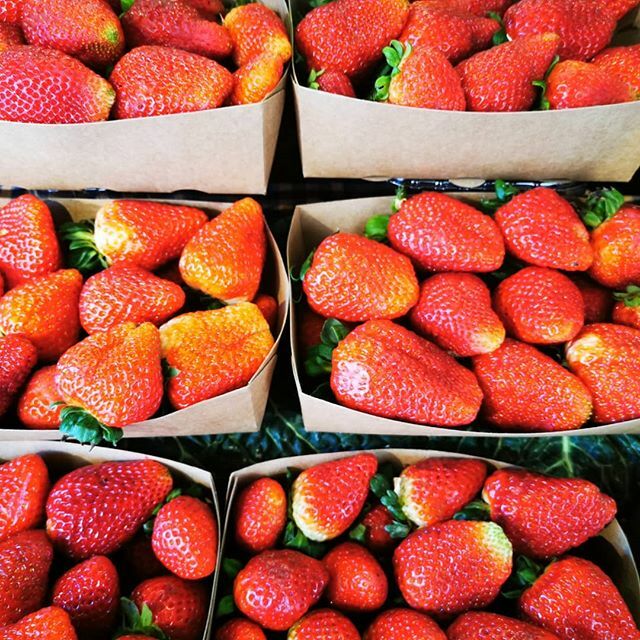 LaServiTeca's tweet photo. 🍓🍓Maduixots del Maresme 🍓 🍓
Ara més que mai, productes del Maresme, productes de proximitat.👍 .
.
#somteca #tecabona #maresme #proximitat #qualitat #amuntmaresme https://t.co/maODFAGvXP https://t.co/9ujafbSgMI