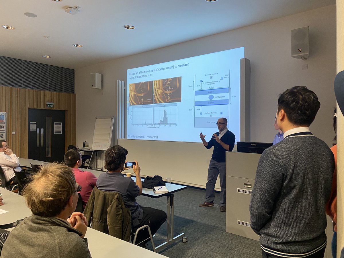 Lewis Dolman tweet media