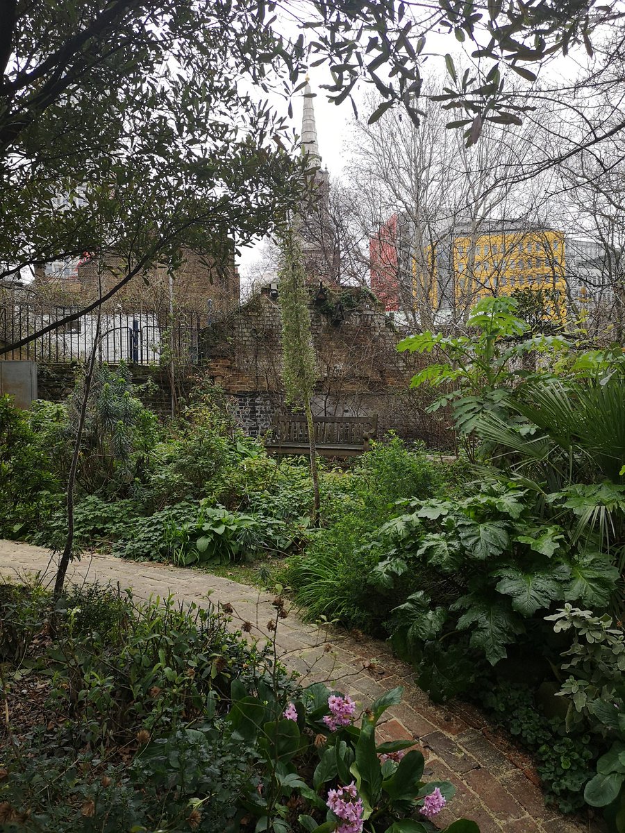 ReadsRachel's tweet photo. A little oasis of calm. Taking a moment before the Chicken House Big Breakfast. https://t.co/M6AuATaPWF
