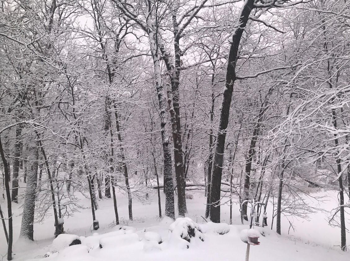 JasonWilken1's tweet photo. A good morning for hot chocolate and writing. https://t.co/GM3lu4kcLn
