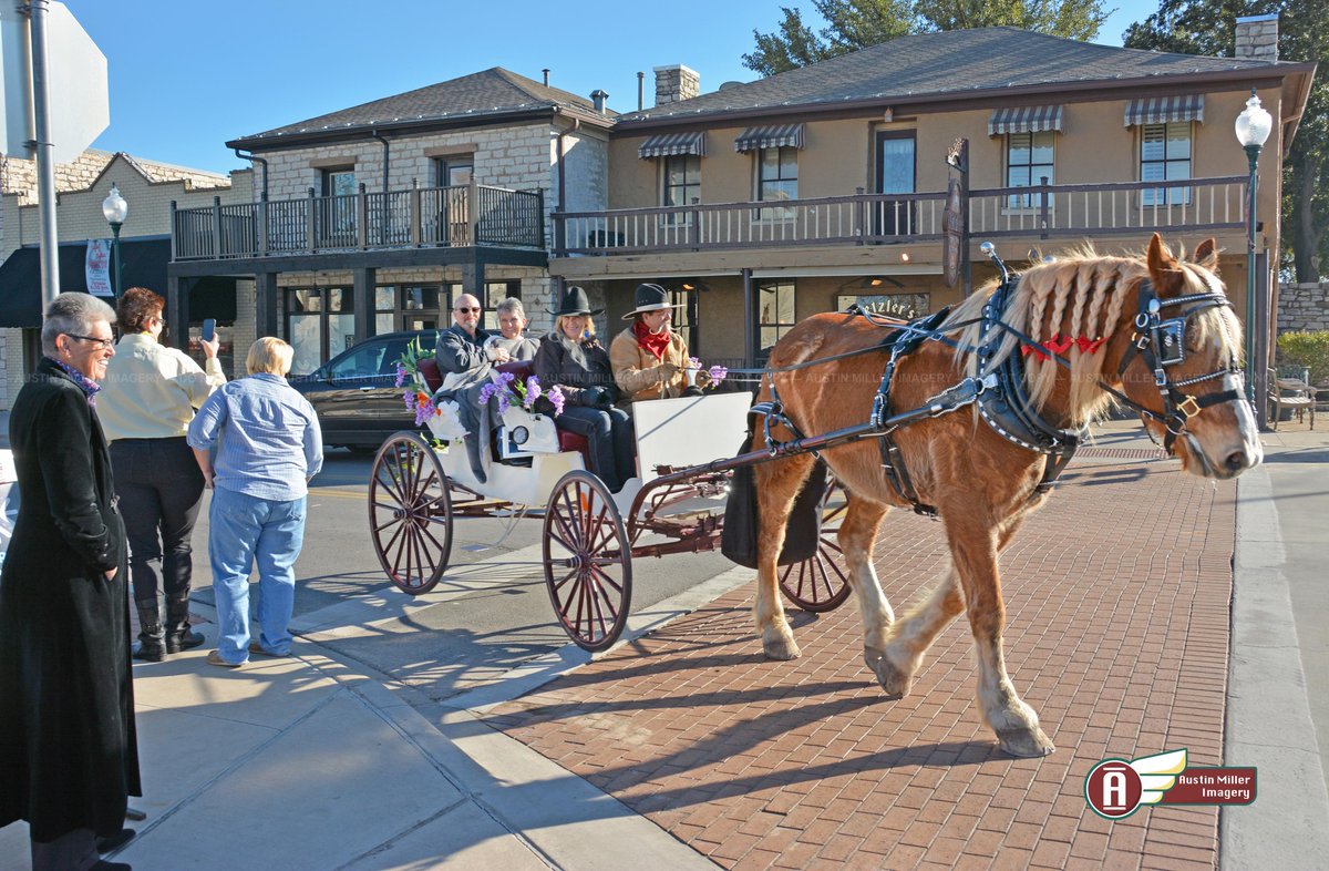 A special thanks to Valor the Belgian Draft Horse and his parents! They will be on the Square this Sunday from 3-6, and they will donate 50% of the proceeds during that time to our #Australia fundraiser! facebook.com/events/1902916…
<a href="/granburysquare/">Granbury Square</a> <a href="/VisitGranbury/">Visit Granbury</a> #AustralianFires