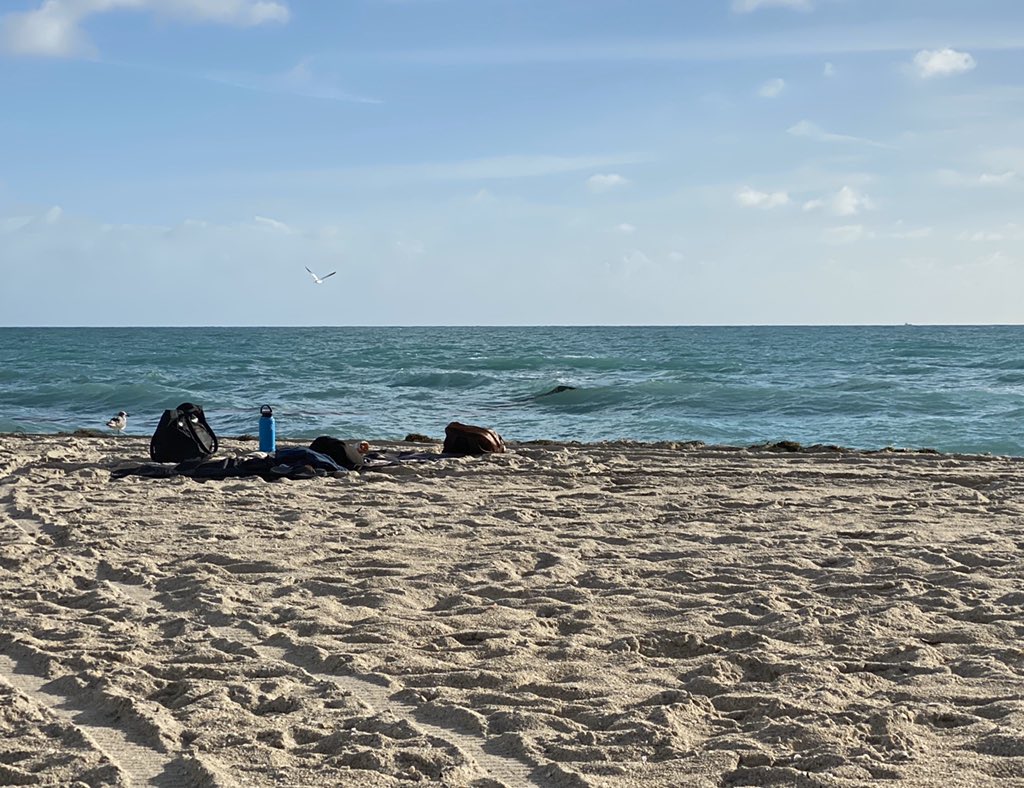 guitarviator's tweet photo. Why do people do this? Why. Half a freakin’ mile of open beach and you gotta be RIGHT THERE in front of me. Yeah I know #BooHoo #PoorPitifulMe (#SummerIsBetter) https://t.co/uUnvDdzWzE